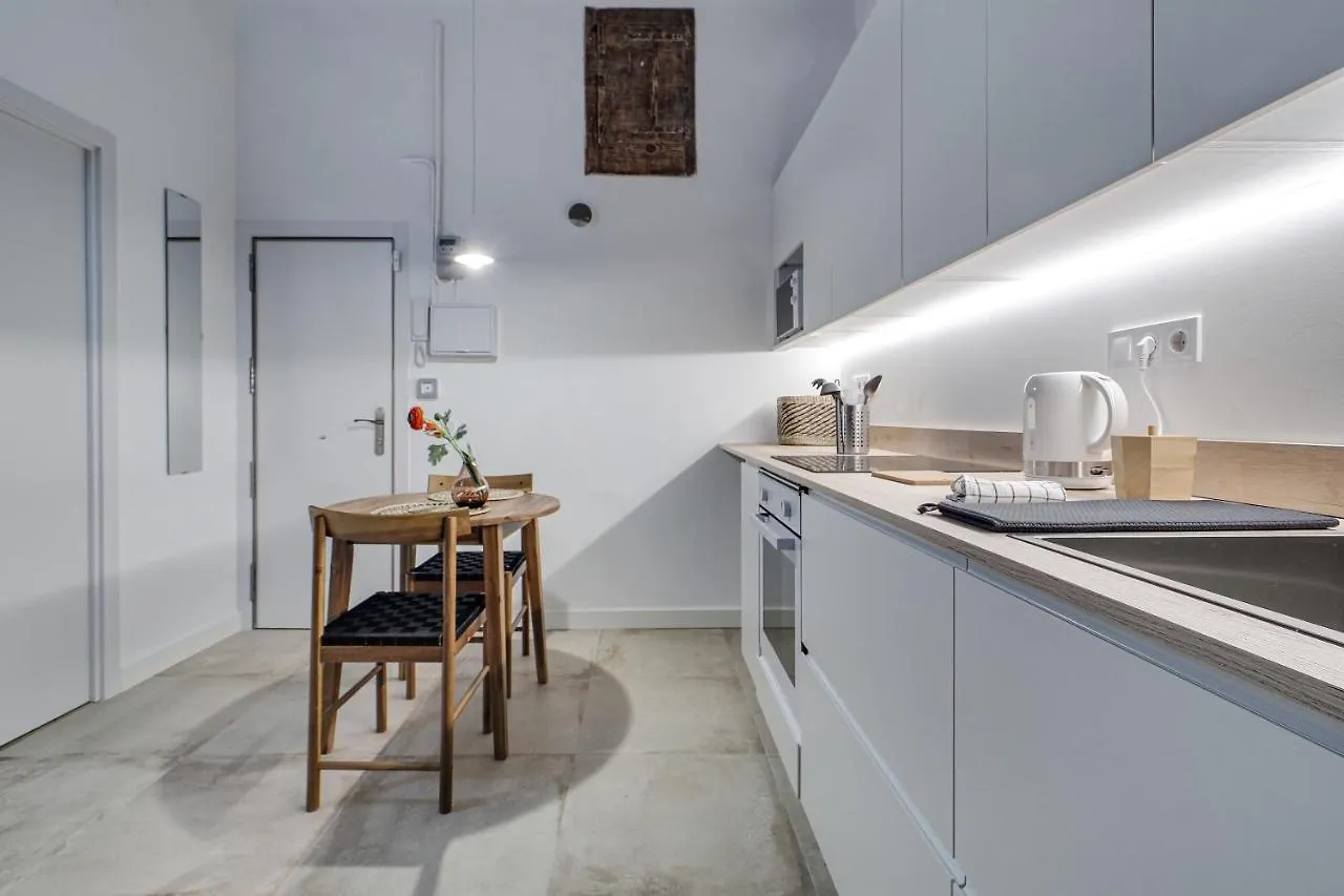 Luxury Mr Born Apartment Barcelona Spain