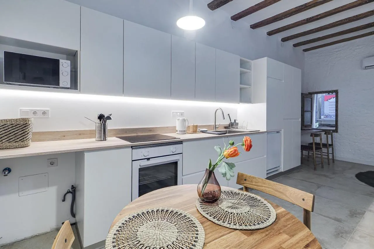 Luxury Mr Born Appartement Barcelona 0*,