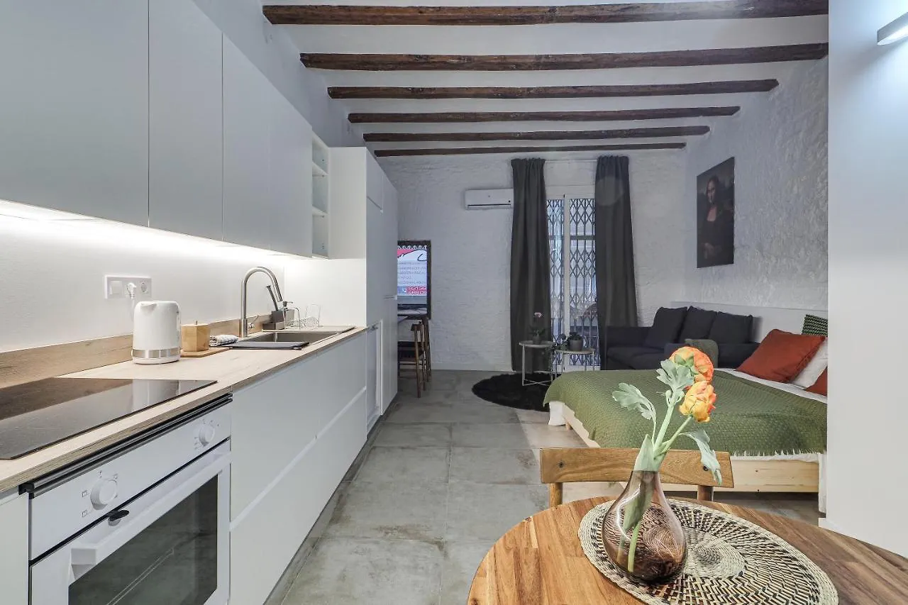 Luxury Mr Born Appartement Barcelona Spanje